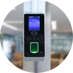 Terminal Equipment